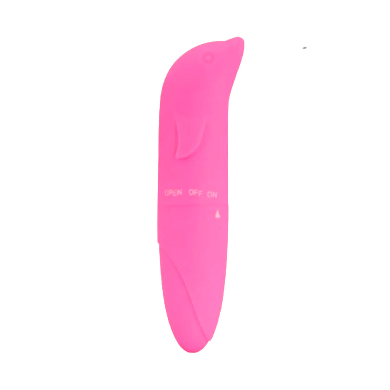 Kit Meu Primeiro Vibrador